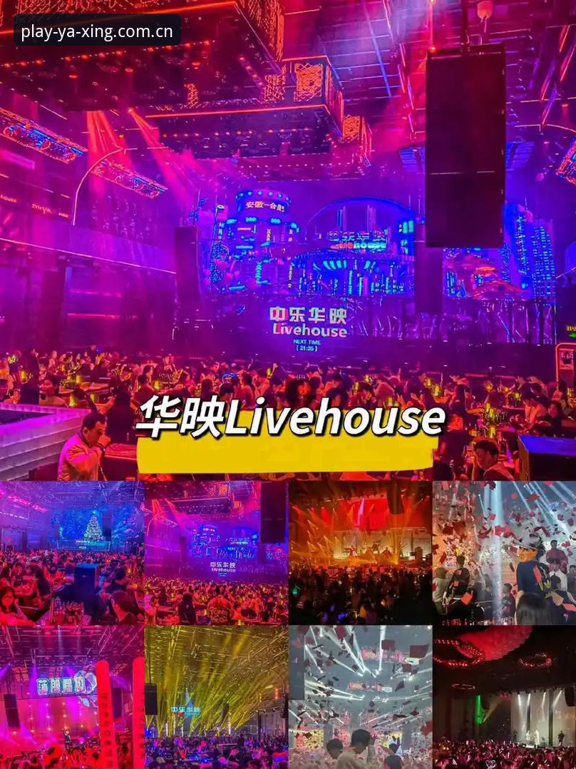 资深用户分享：亚星体育平台苹果版使用心得与实战经验