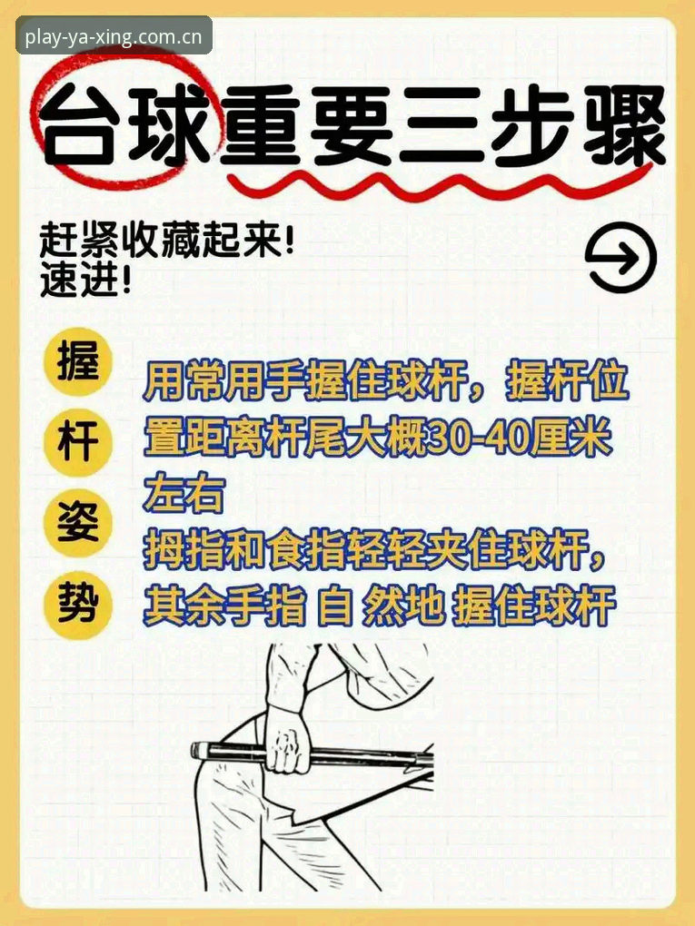 亚星体育平台真人娱乐功能详解与新手操作指南