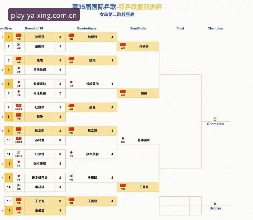 世界杯观赛受阻与地缘政治博弈：赛事热潮背后的签证困局全面解析